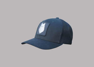 Embroidered Shadow Black Snapback